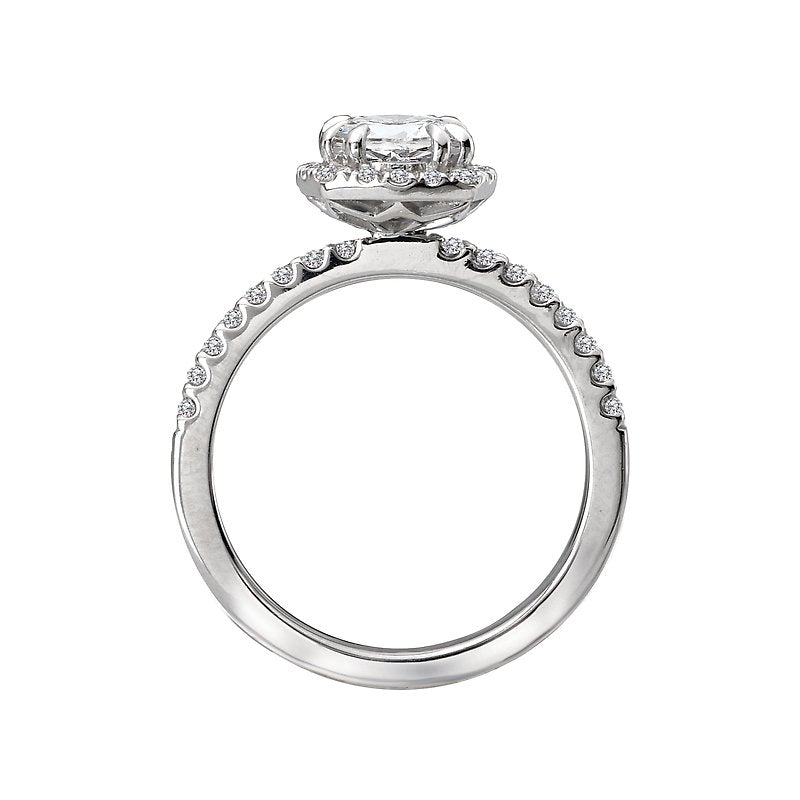Orbelle Bandora Semi-Mount Diamond Engagement Ring in 14K White Gold