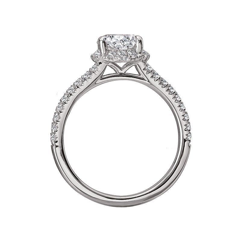Orbelle Split Shank Semi-Mount Diamond Ring in 14K White Gold with Round Halo