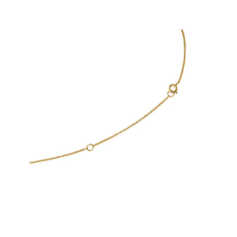 Luxora Ladies 14K Yellow Gold Diamond Heart Rope Necklace