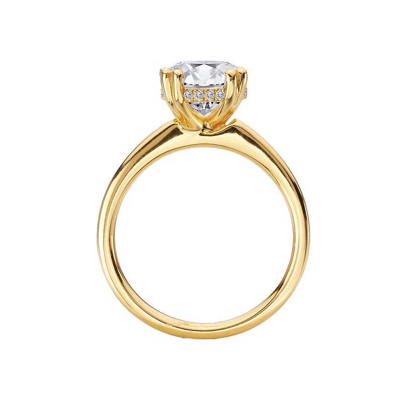 14K Yellow Gold Double Band Diamond Engagement Ring